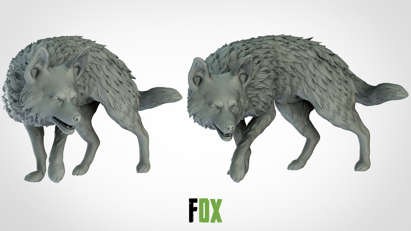 Fox Miniature