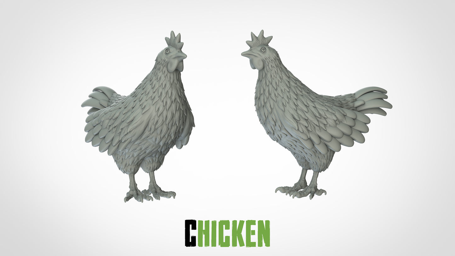Chicken Miniature