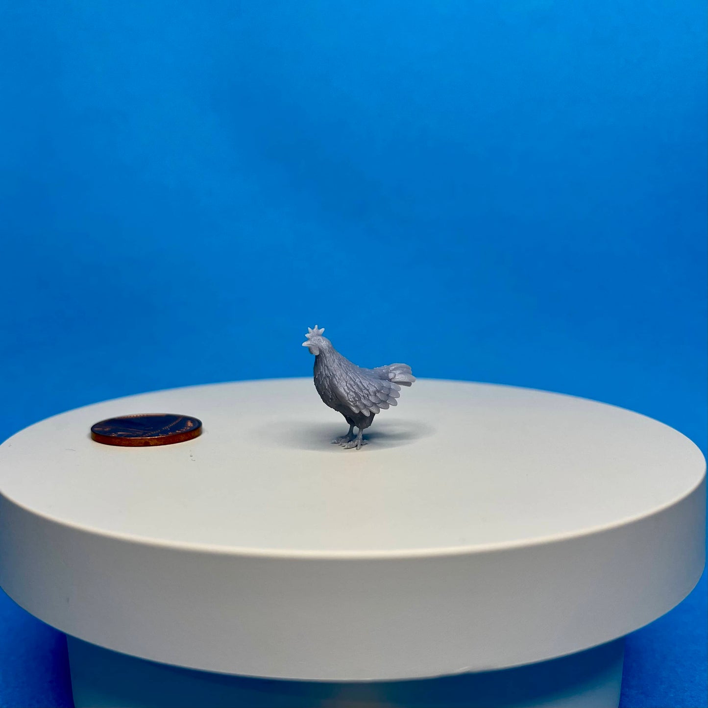 Chicken Miniature