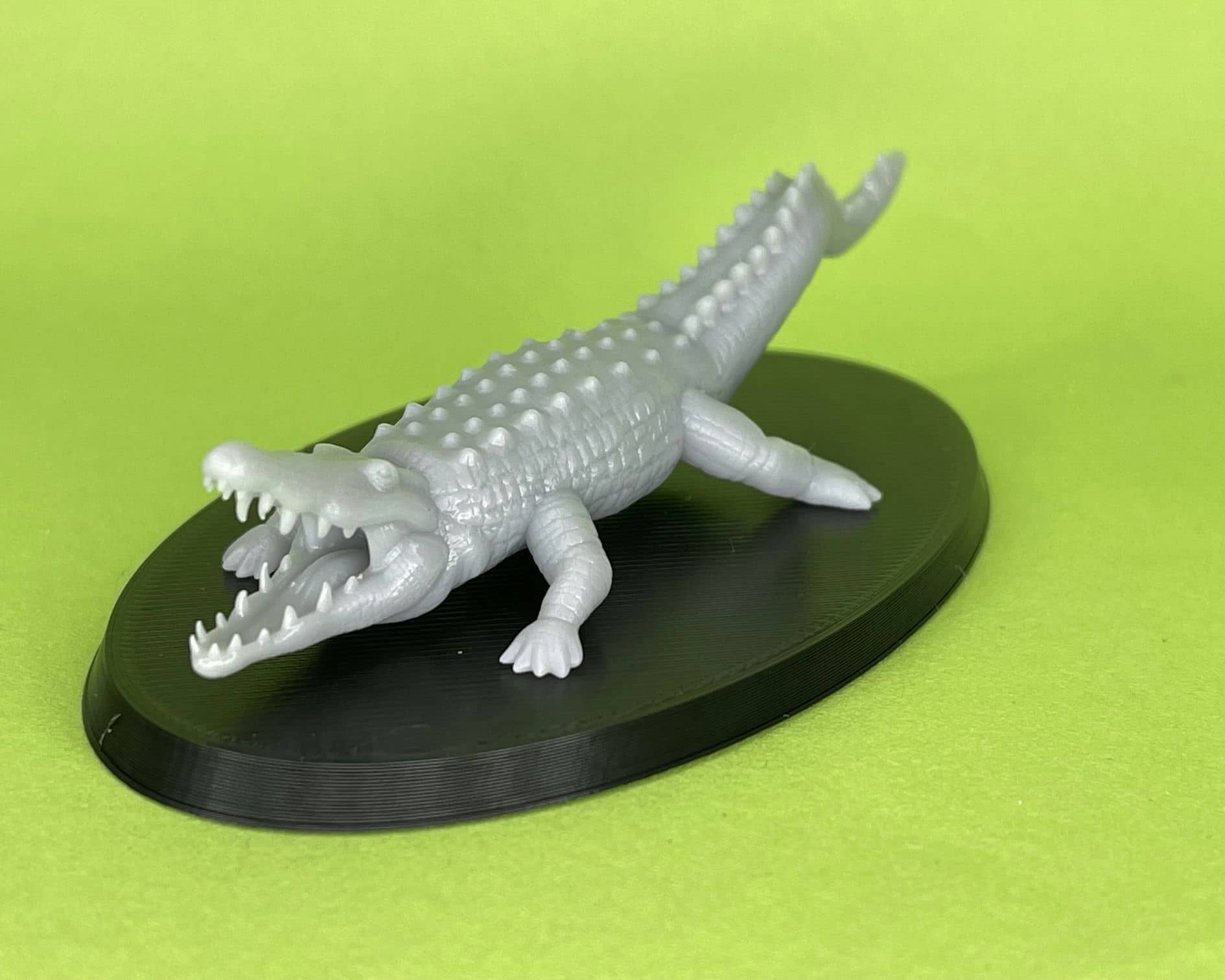 Crocodile Miniature Print Me Crazy
