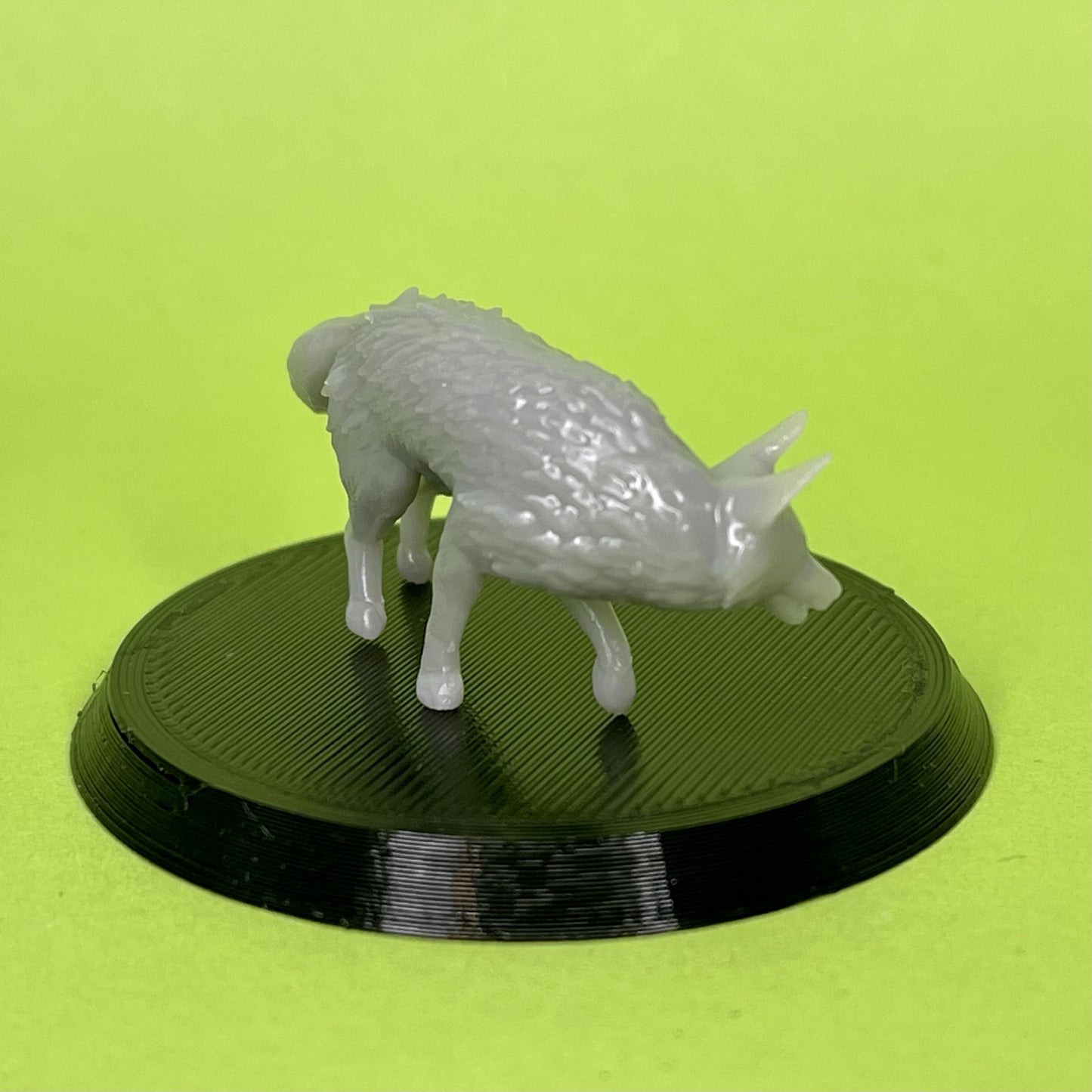 Fox Miniature