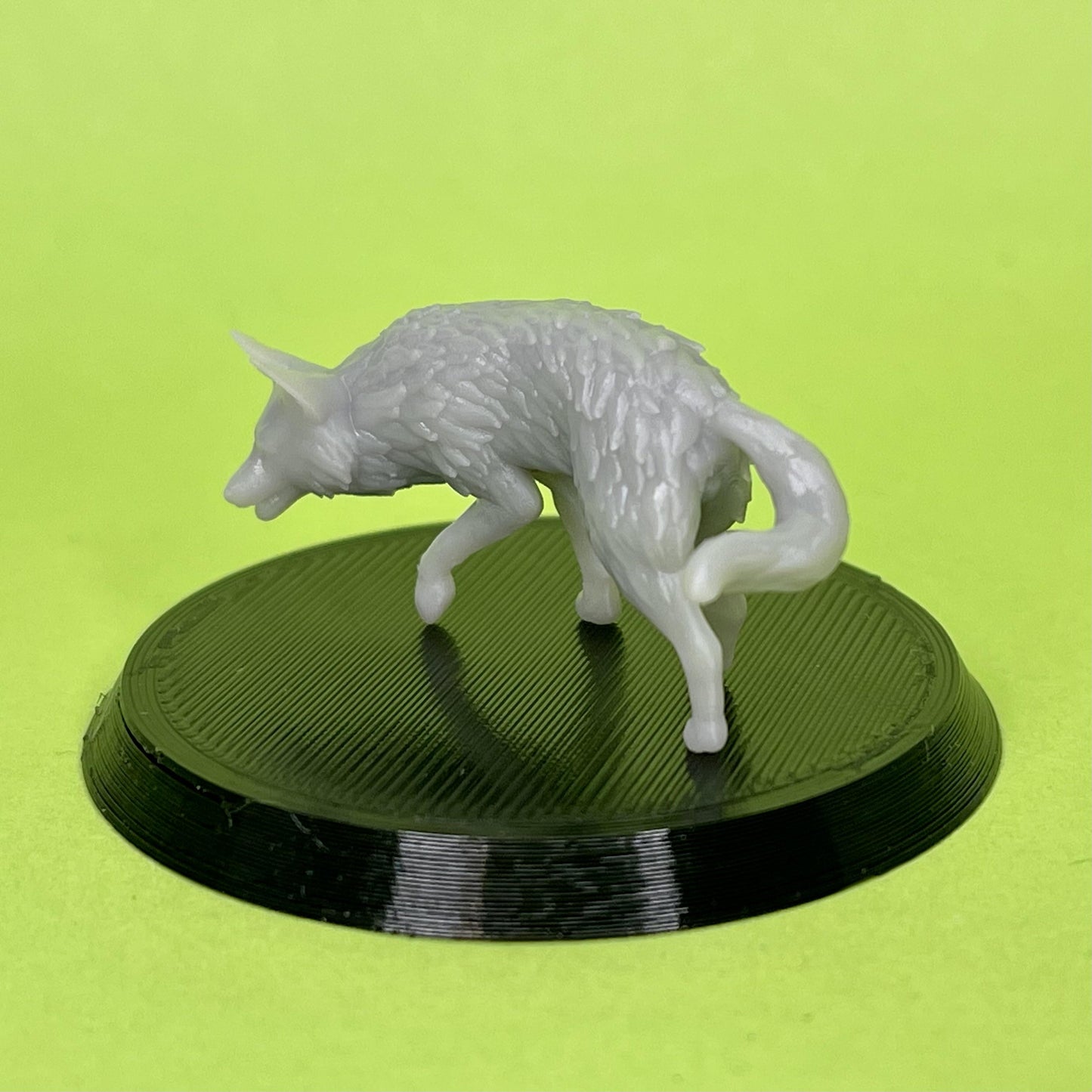 Fox Miniature