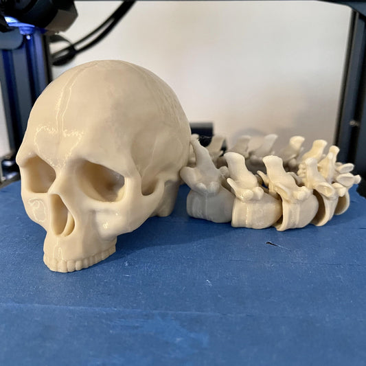 Articulated Skull Trophy