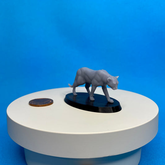 Leopard Miniature