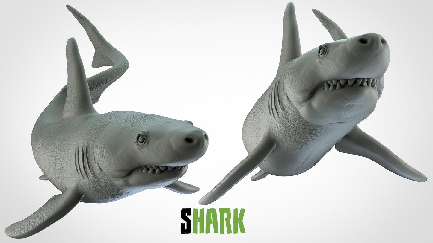 Shark Miniature