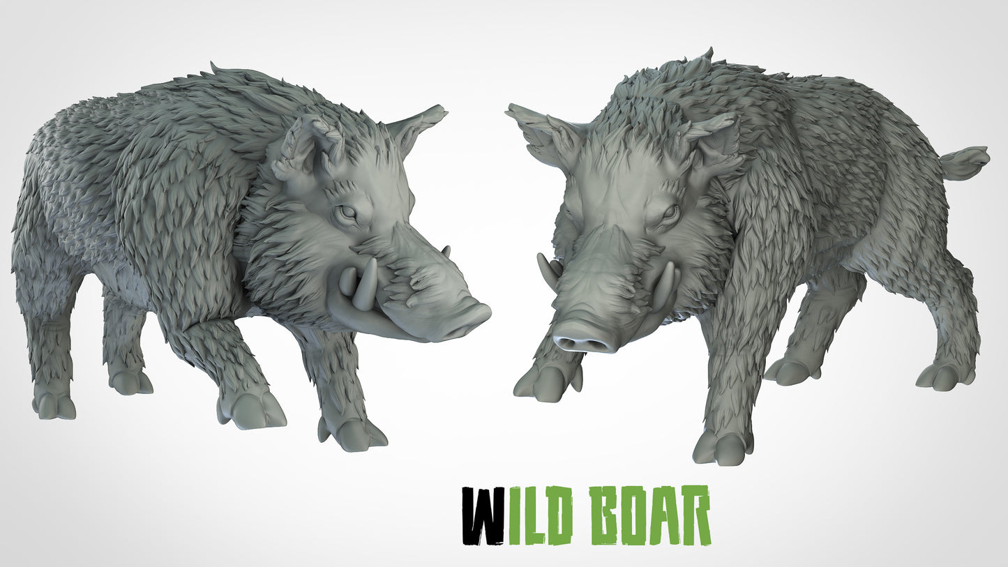 Wild Boar Miniatures