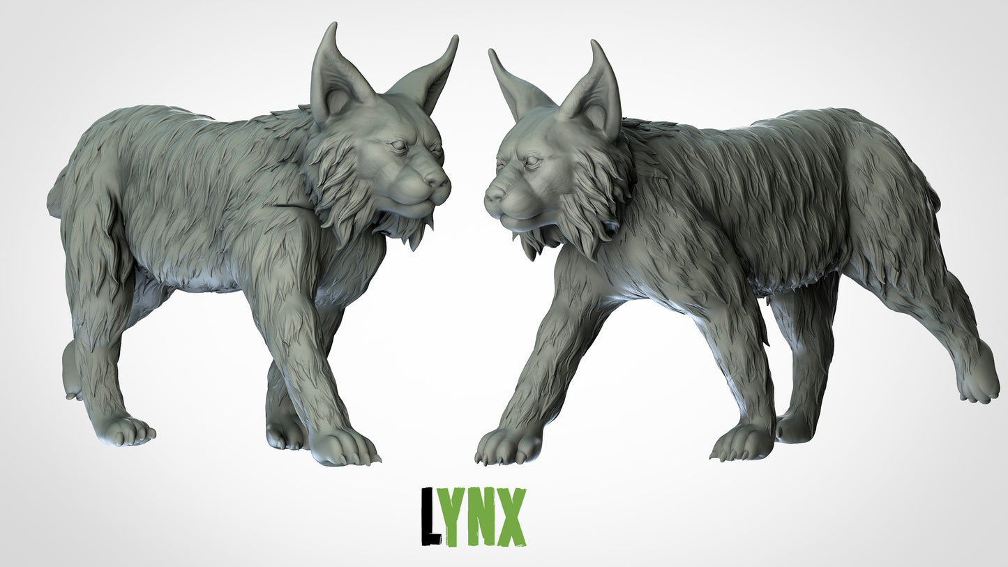 Lynx Miniature