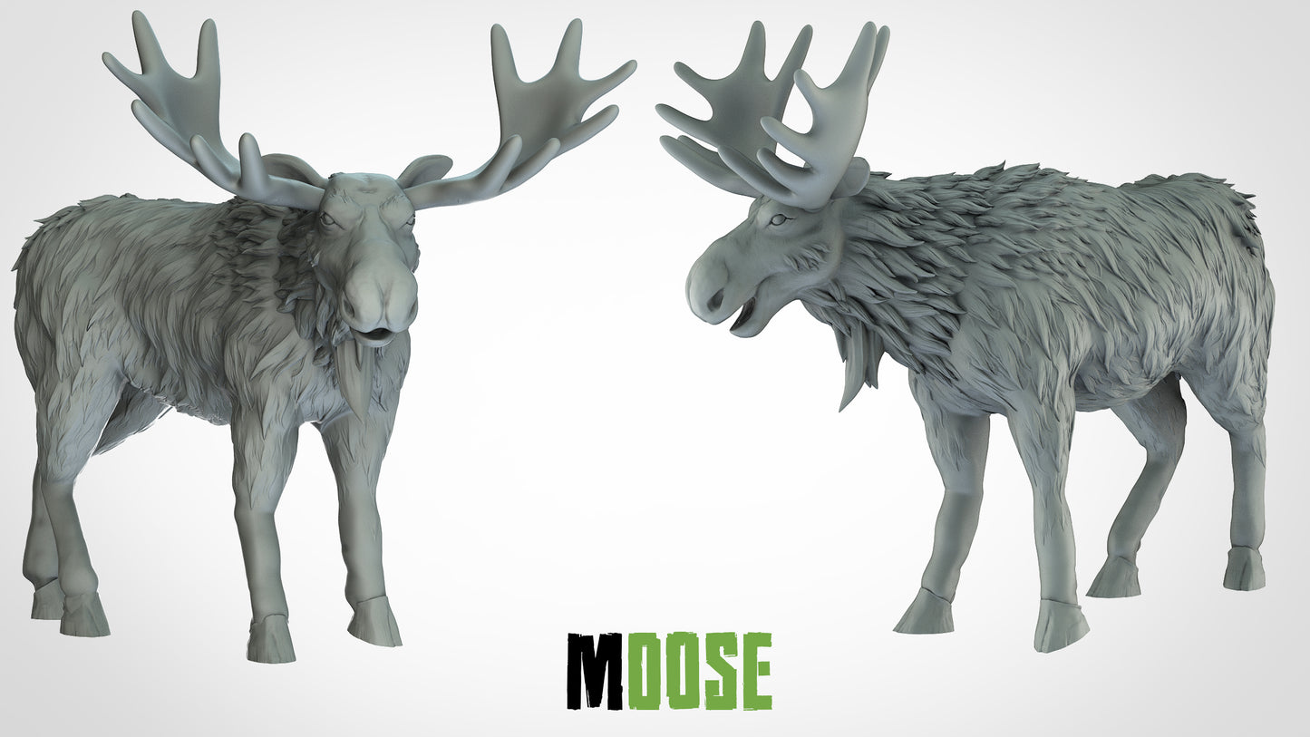 Moose Miniature