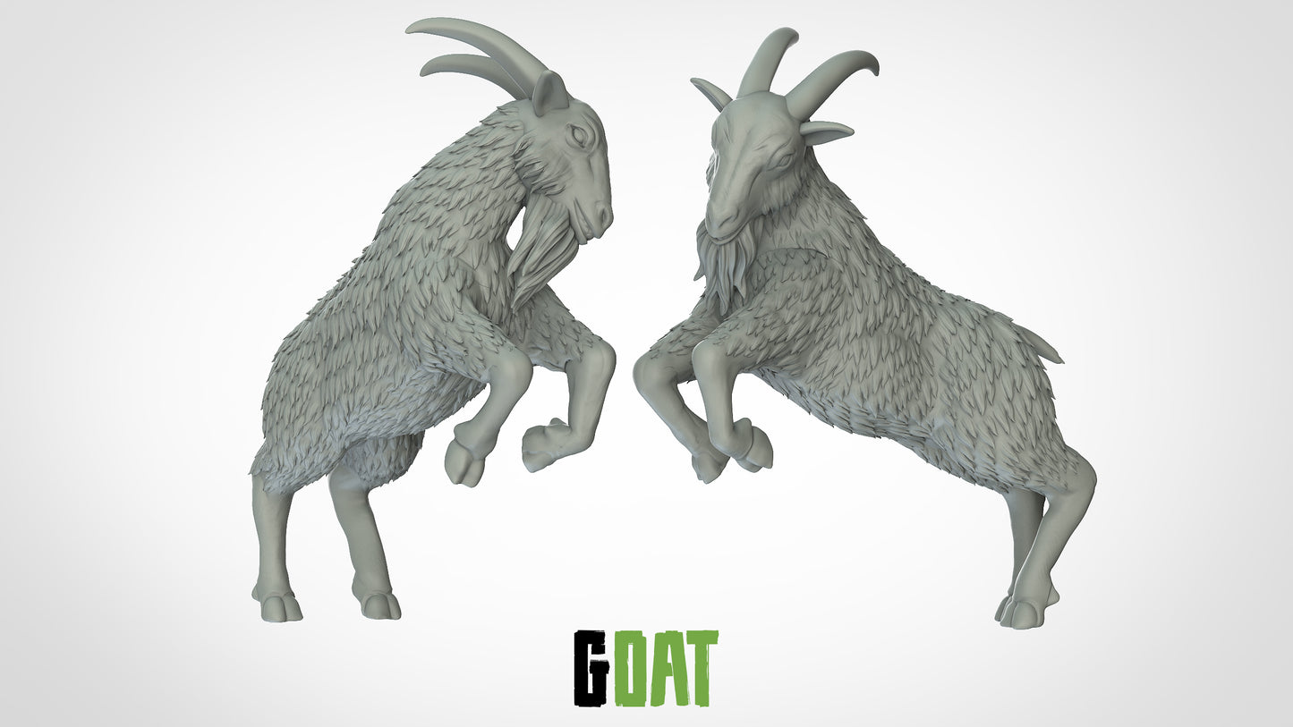 Goat Miniature