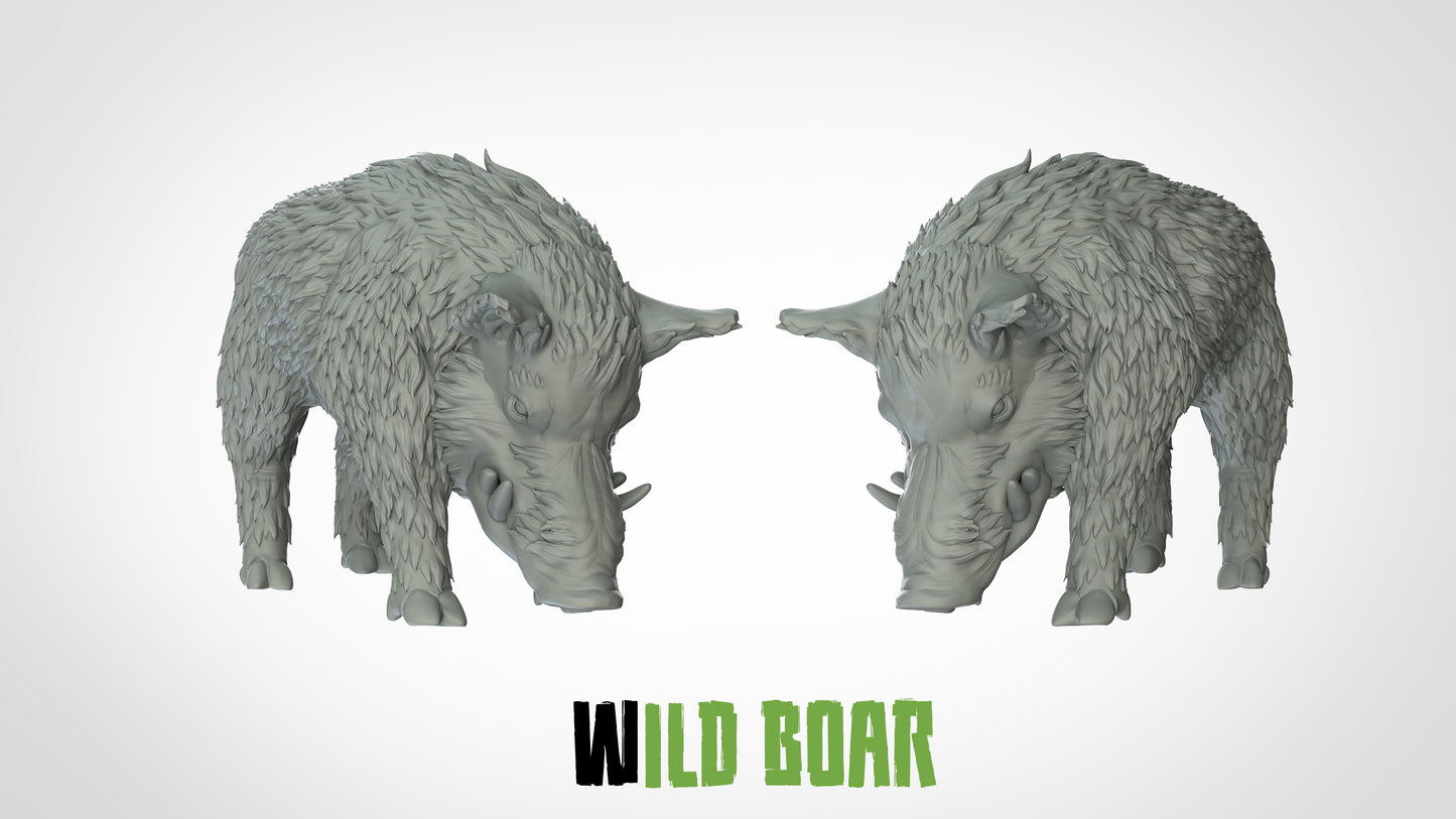 Wild Boar Miniatures