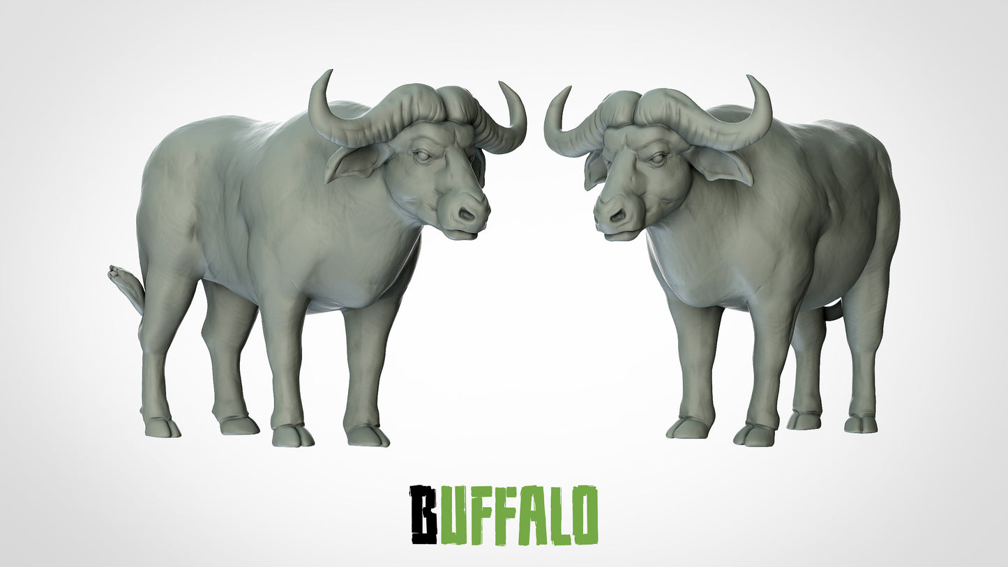 Buffalo Miniature