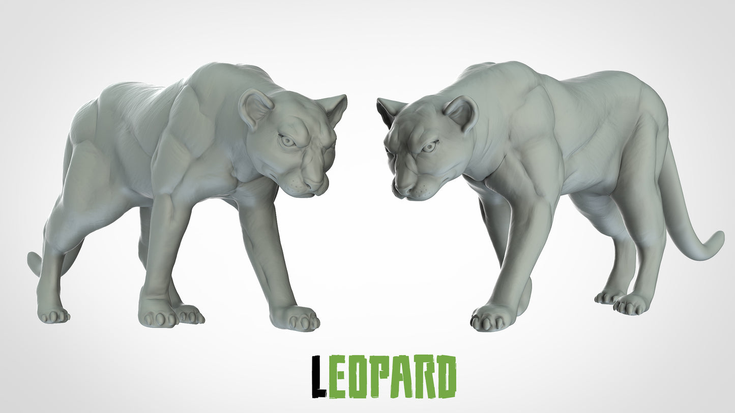 Leopard Miniature