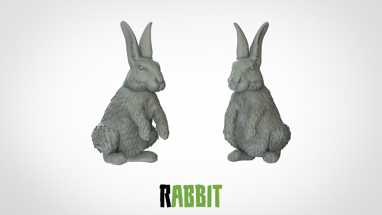 Rabbit Miniature