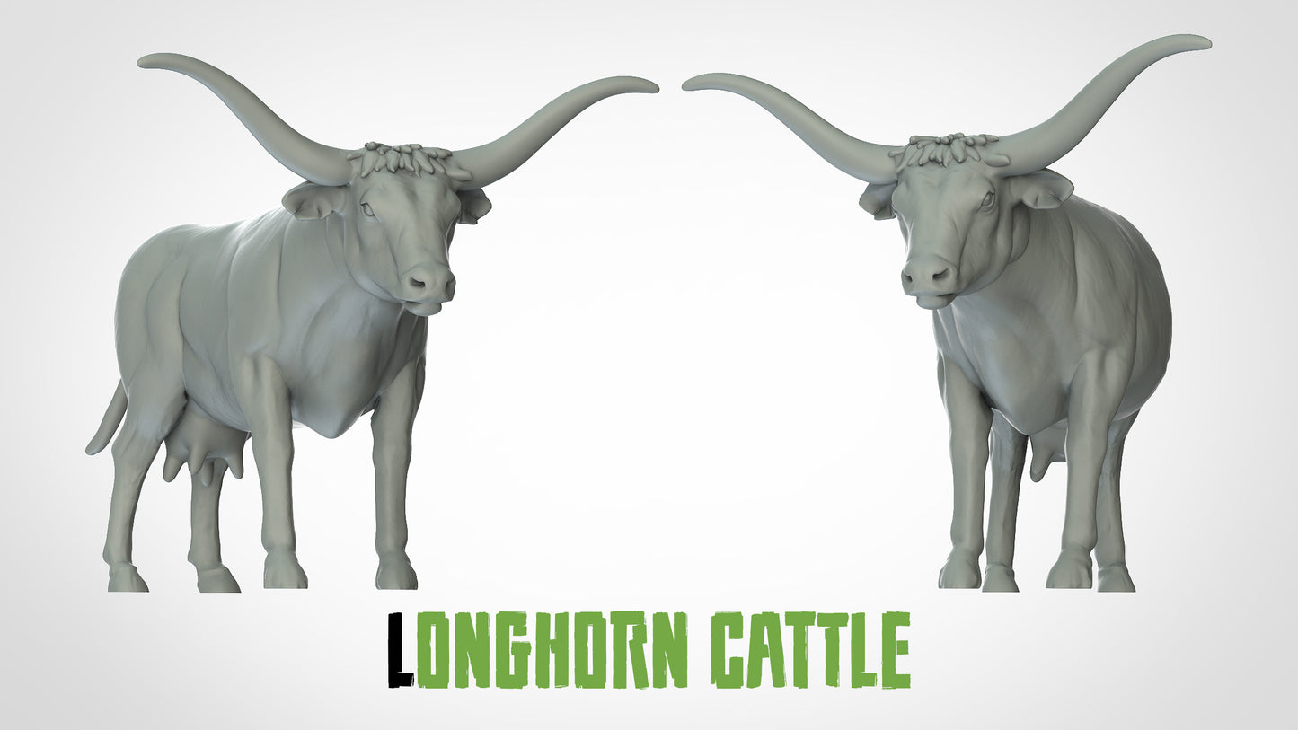 Longhorn Cattle Miniature