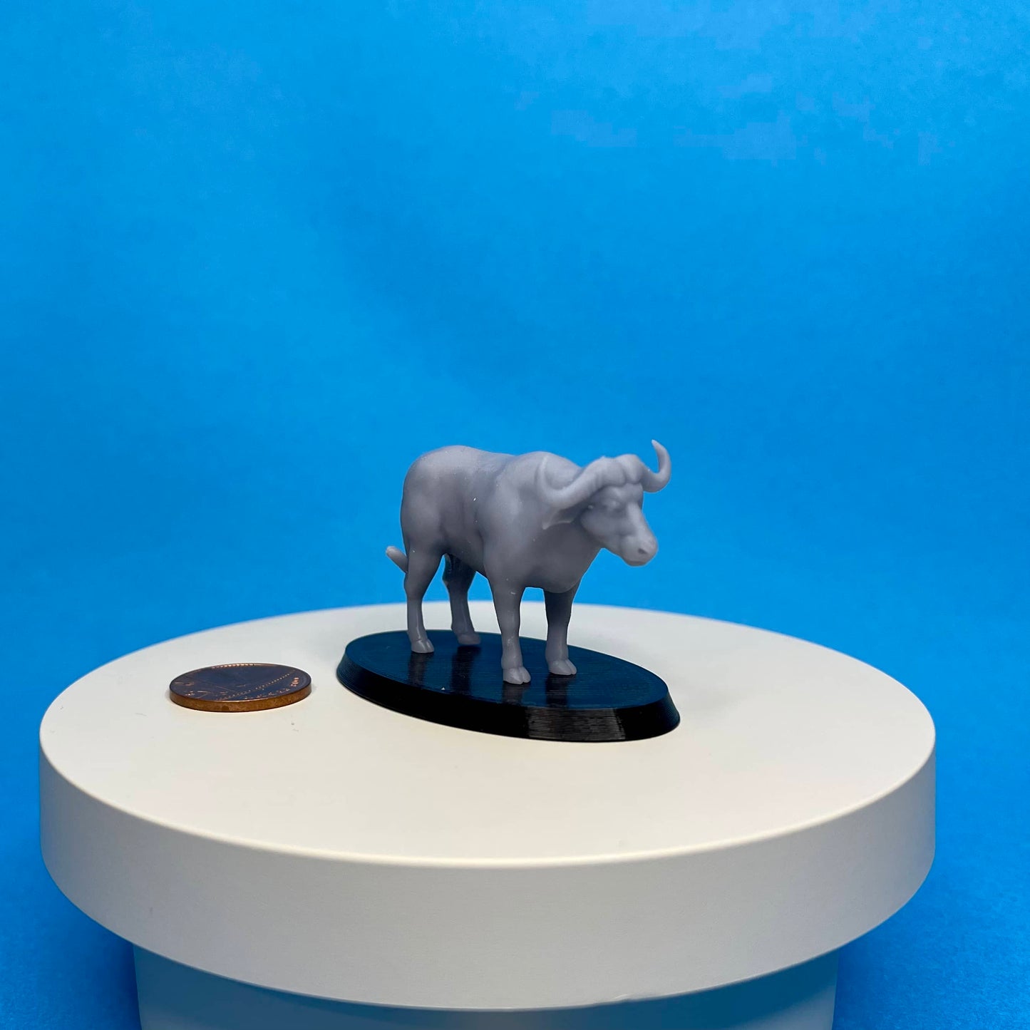 Buffalo Miniature