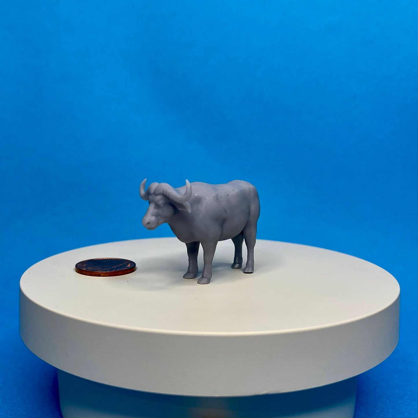 Buffalo Miniature