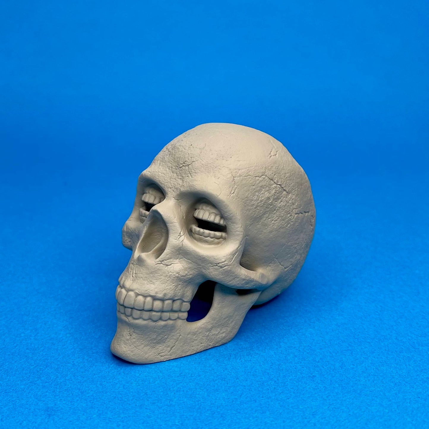 Resin Corinthian Skull