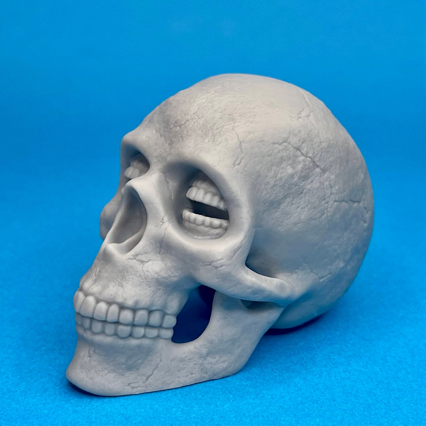 Resin Corinthian Skull