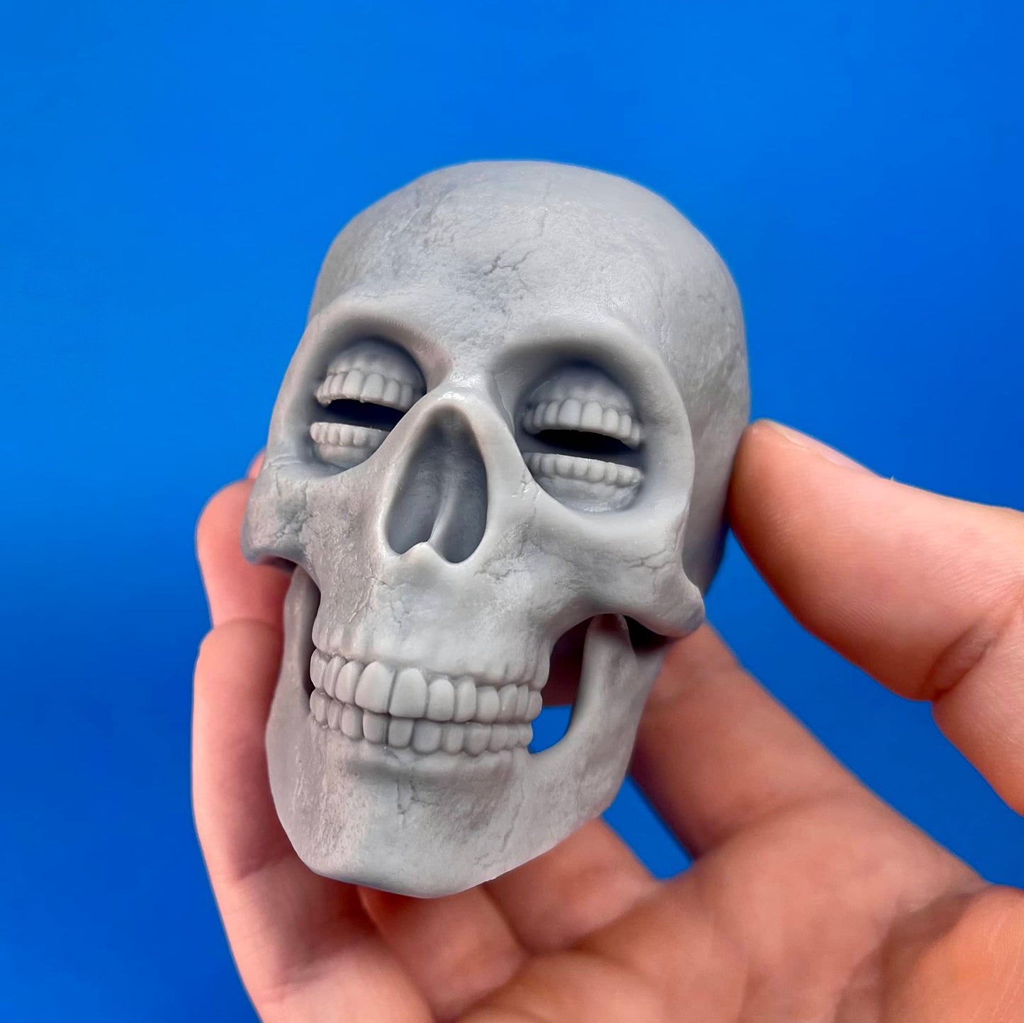 Resin Corinthian Skull