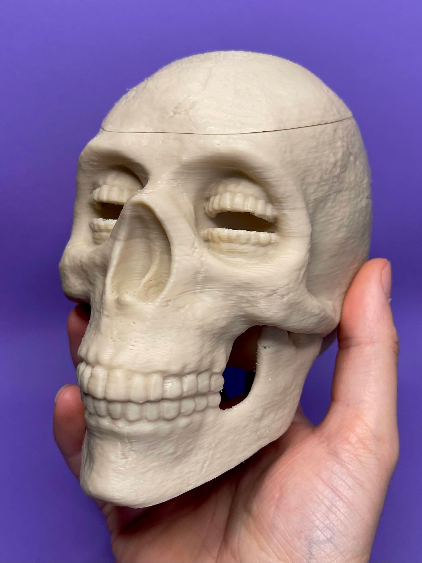 Corinthian Skull Bowl