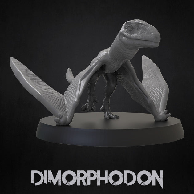 Dimorphodon Miniature