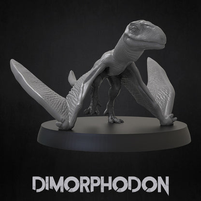 Dimorphodon Miniature