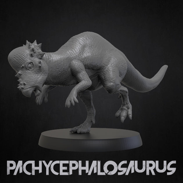 Pachycephalosaurus Miniature