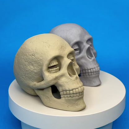 Resin Corinthian Skull