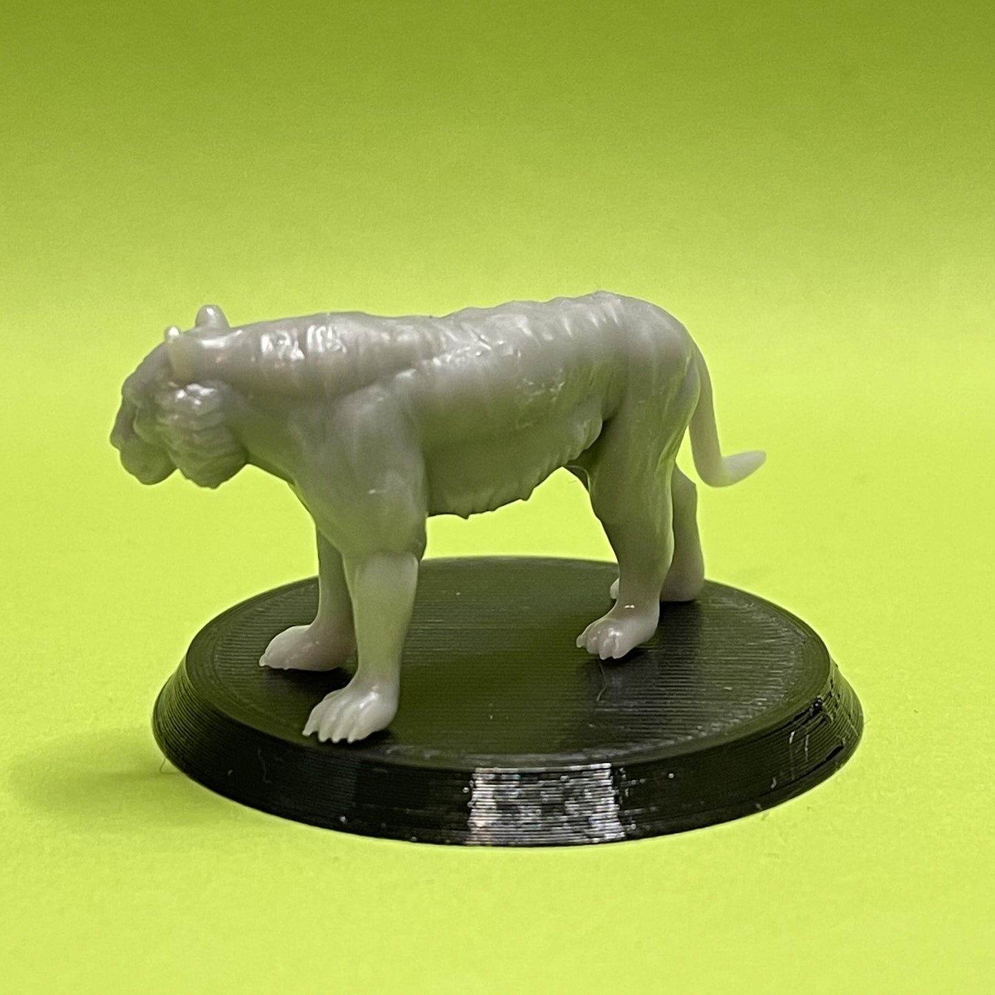 Tiger Miniature