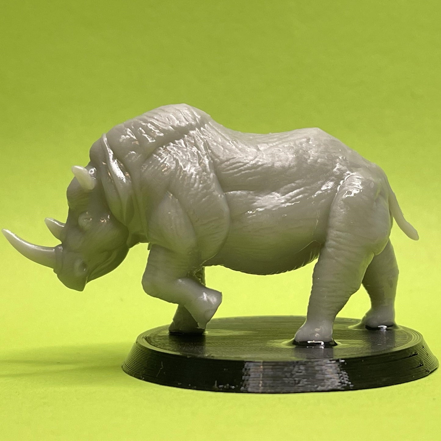 Rhinoceros Miniature
