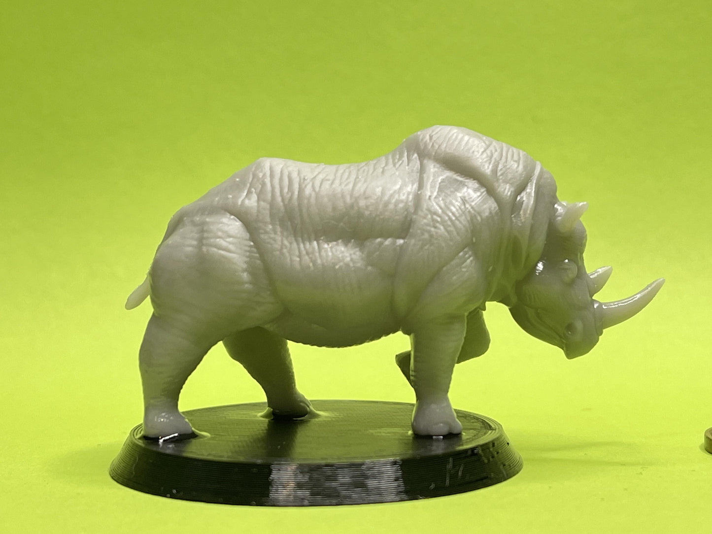 Rhinoceros Miniature