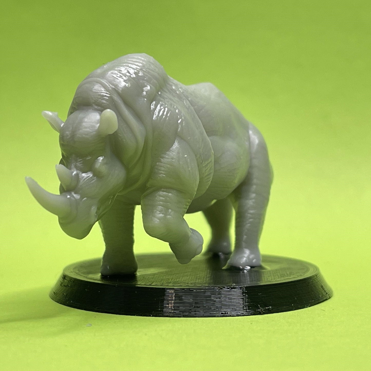 Rhinoceros Miniature