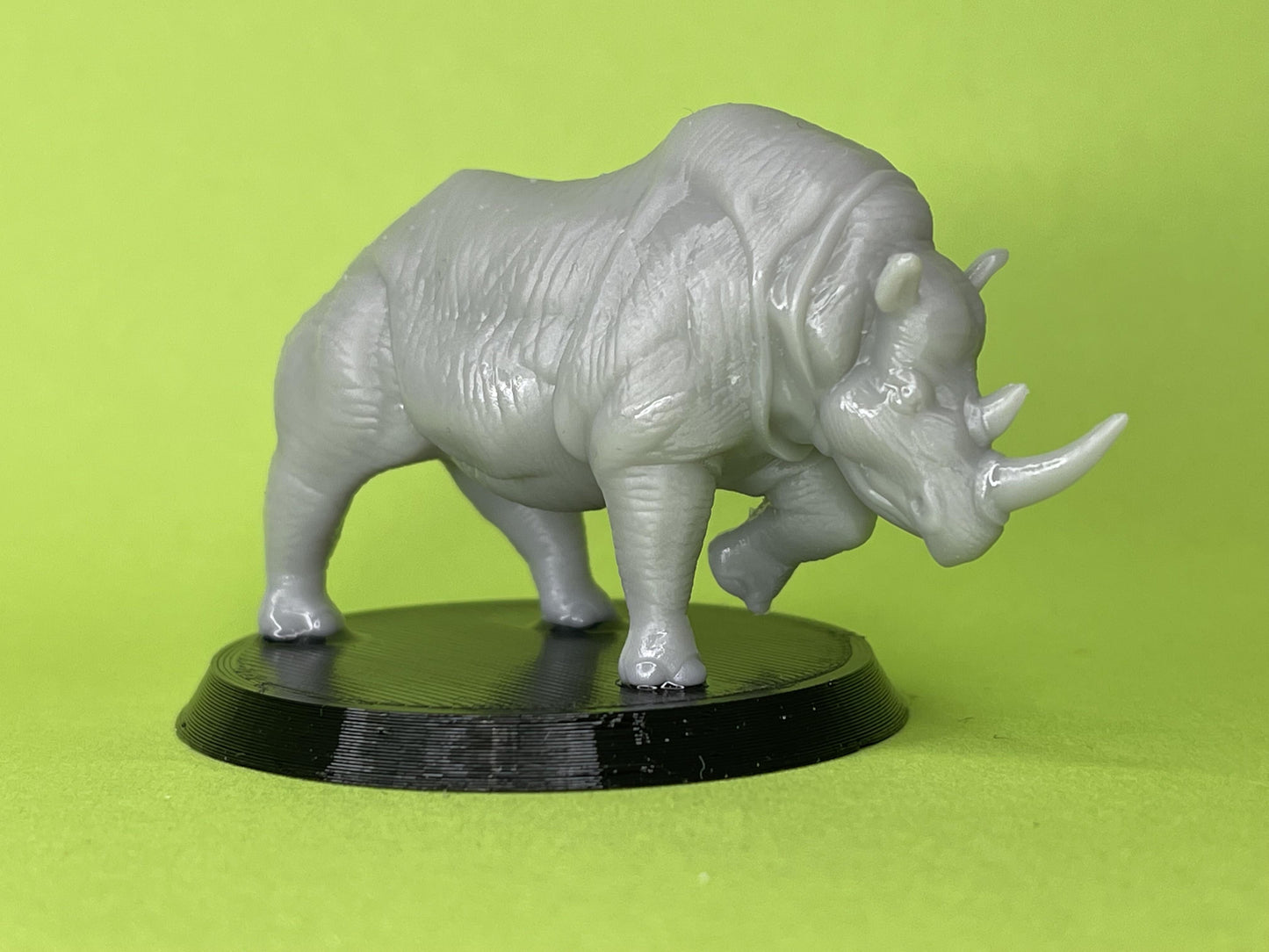 Rhinoceros Miniature