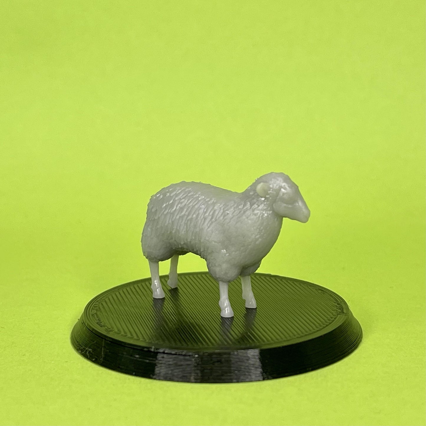 Sheep Miniature