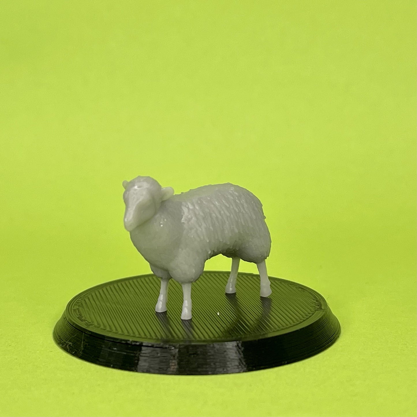 Sheep Miniature