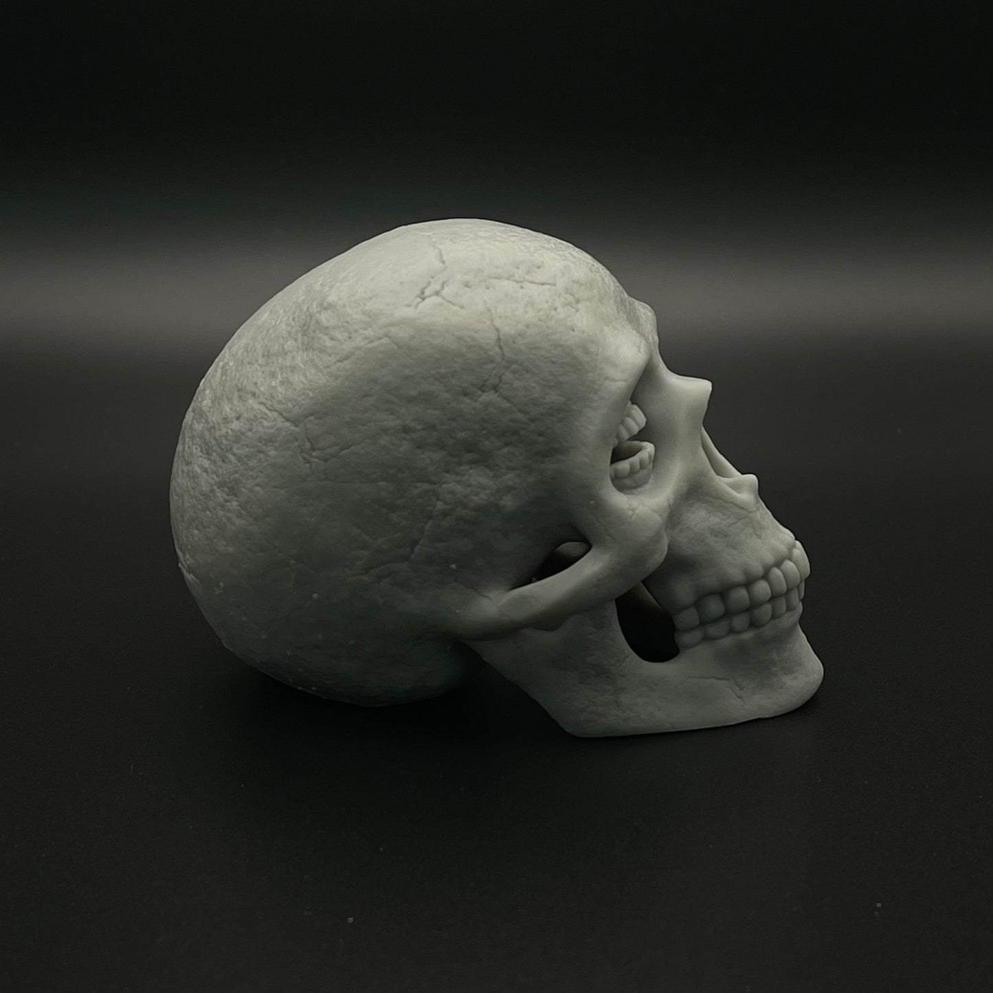 Resin Corinthian Skull