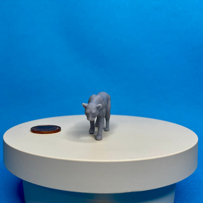 Leopard Miniature