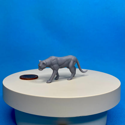 Leopard Miniature