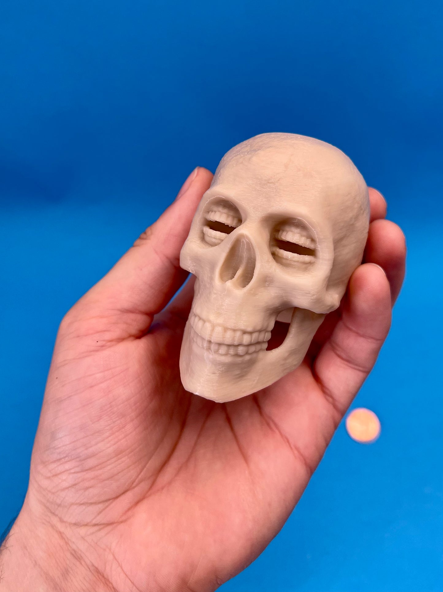 Corinthian Skull