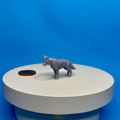 Dog Miniature