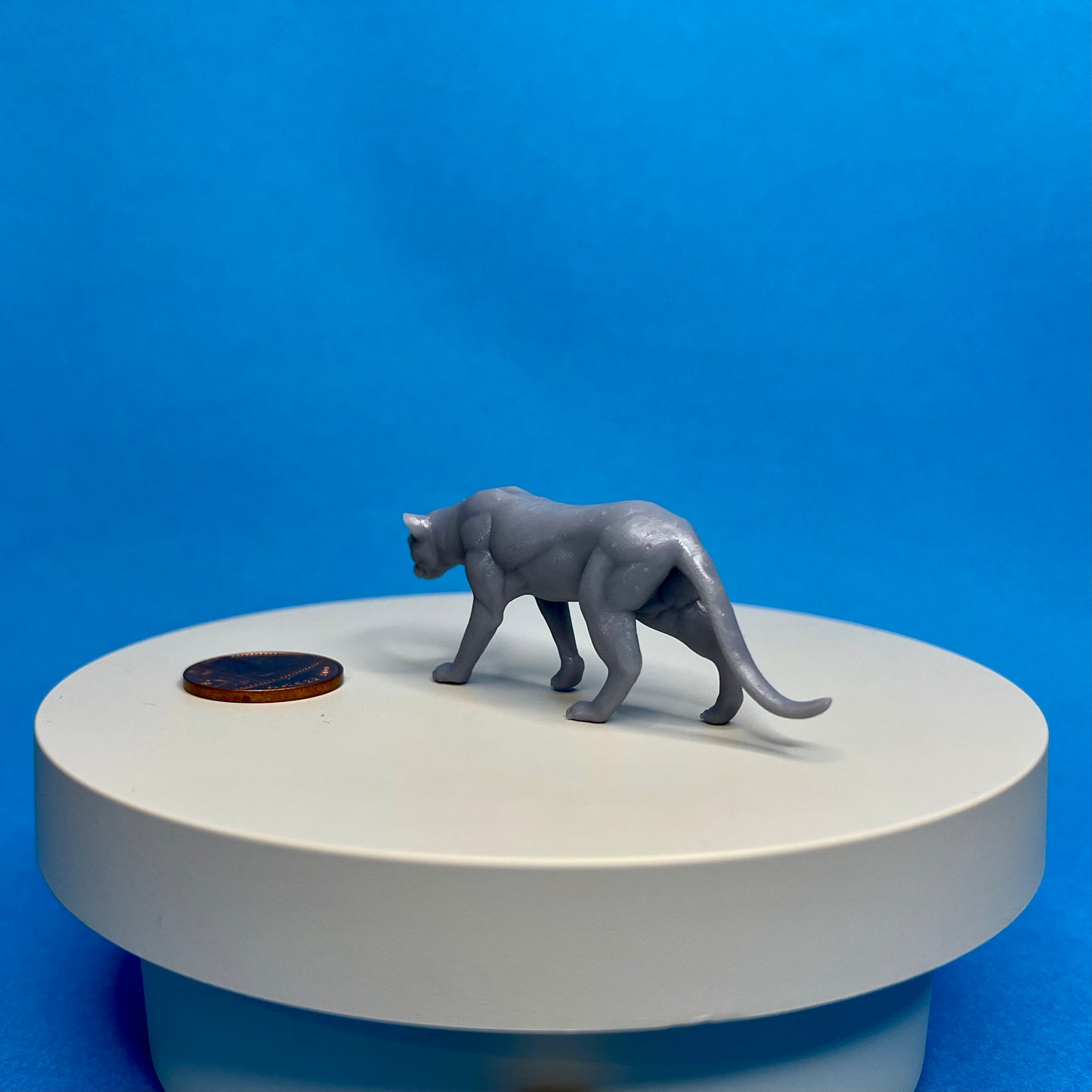 Leopard Miniature
