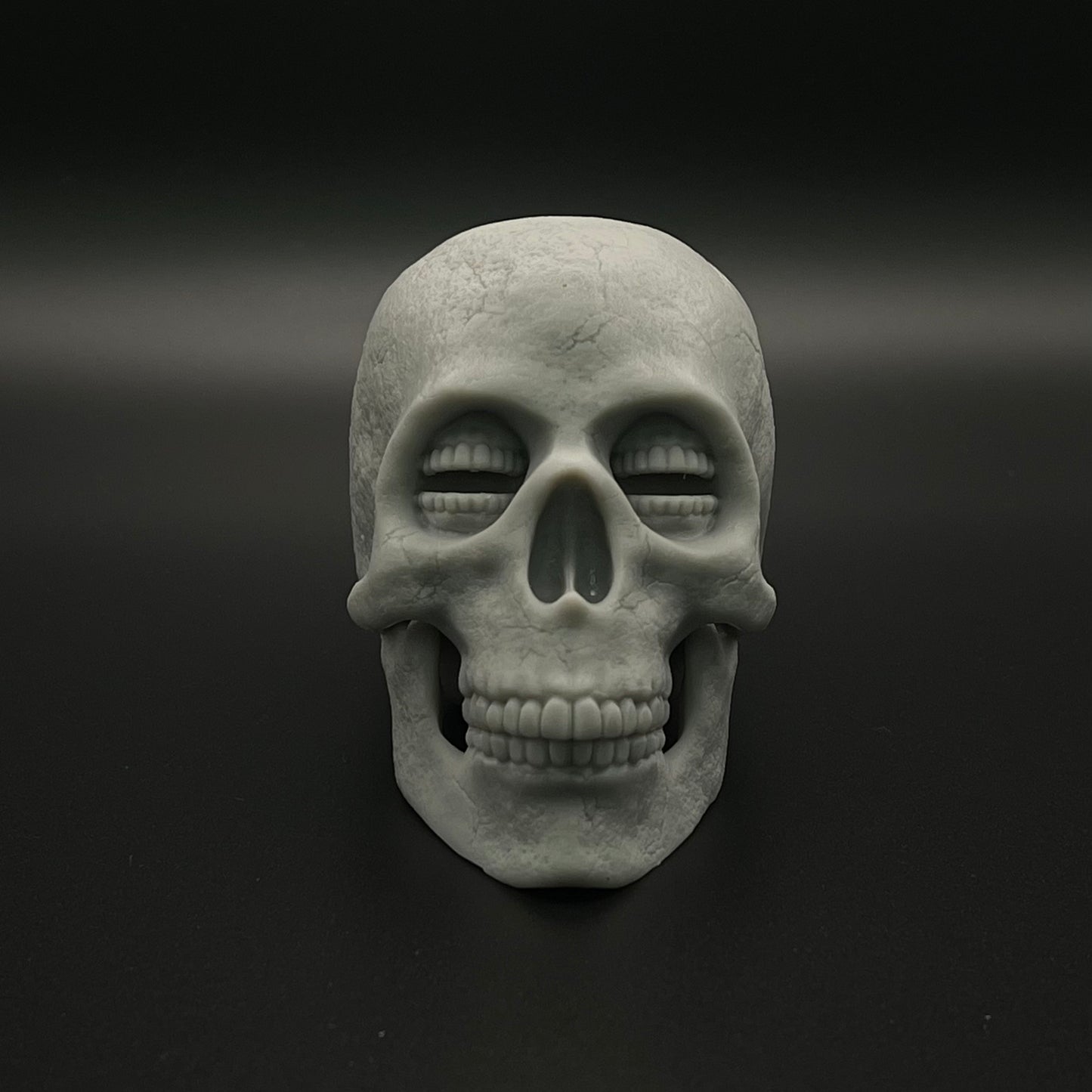 Resin Corinthian Skull