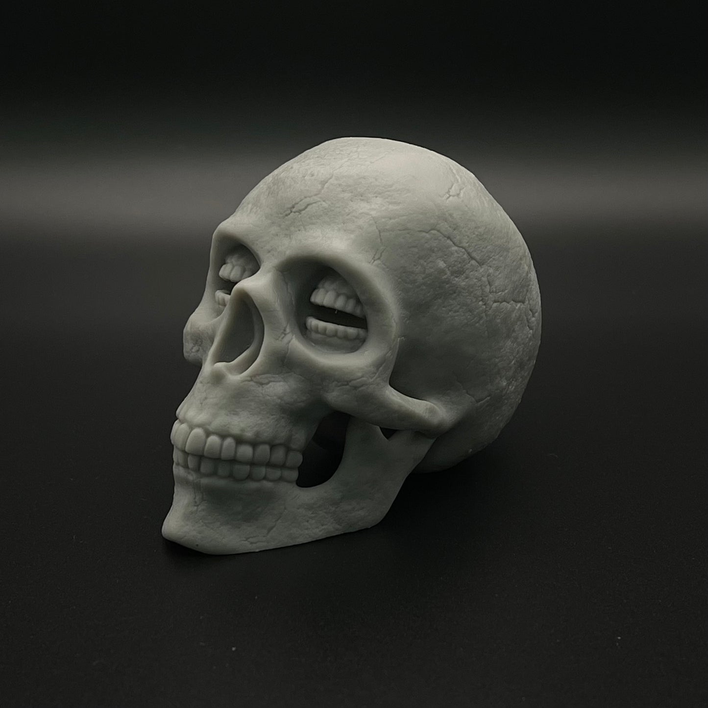 Resin Corinthian Skull