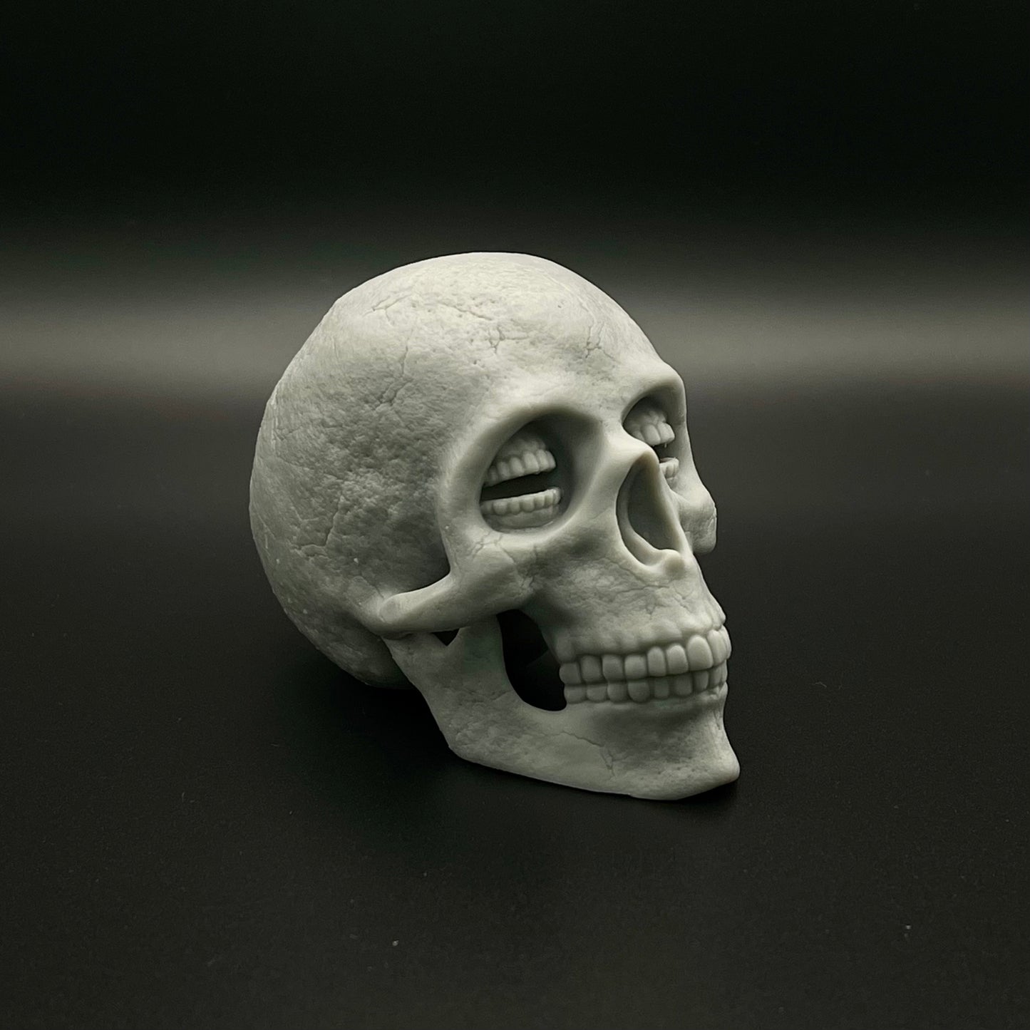 Resin Corinthian Skull