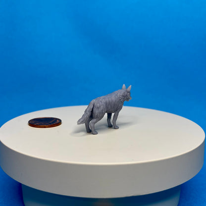 Dog Miniature