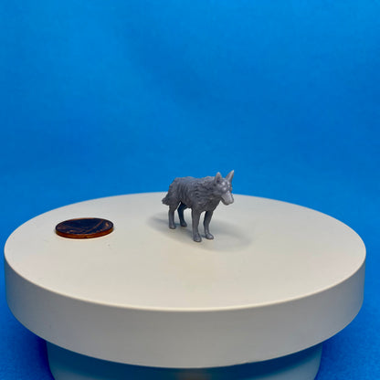 Dog Miniature