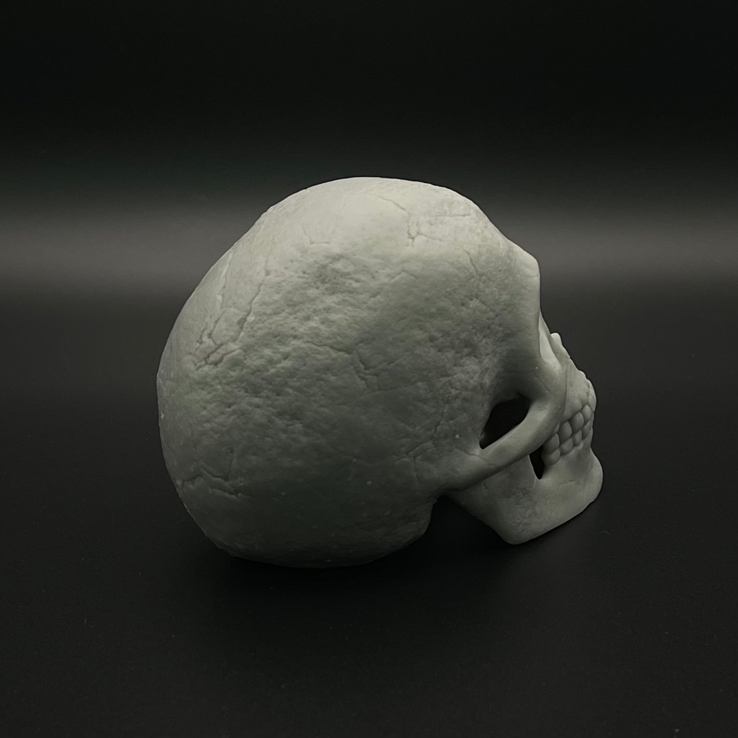 Resin Corinthian Skull